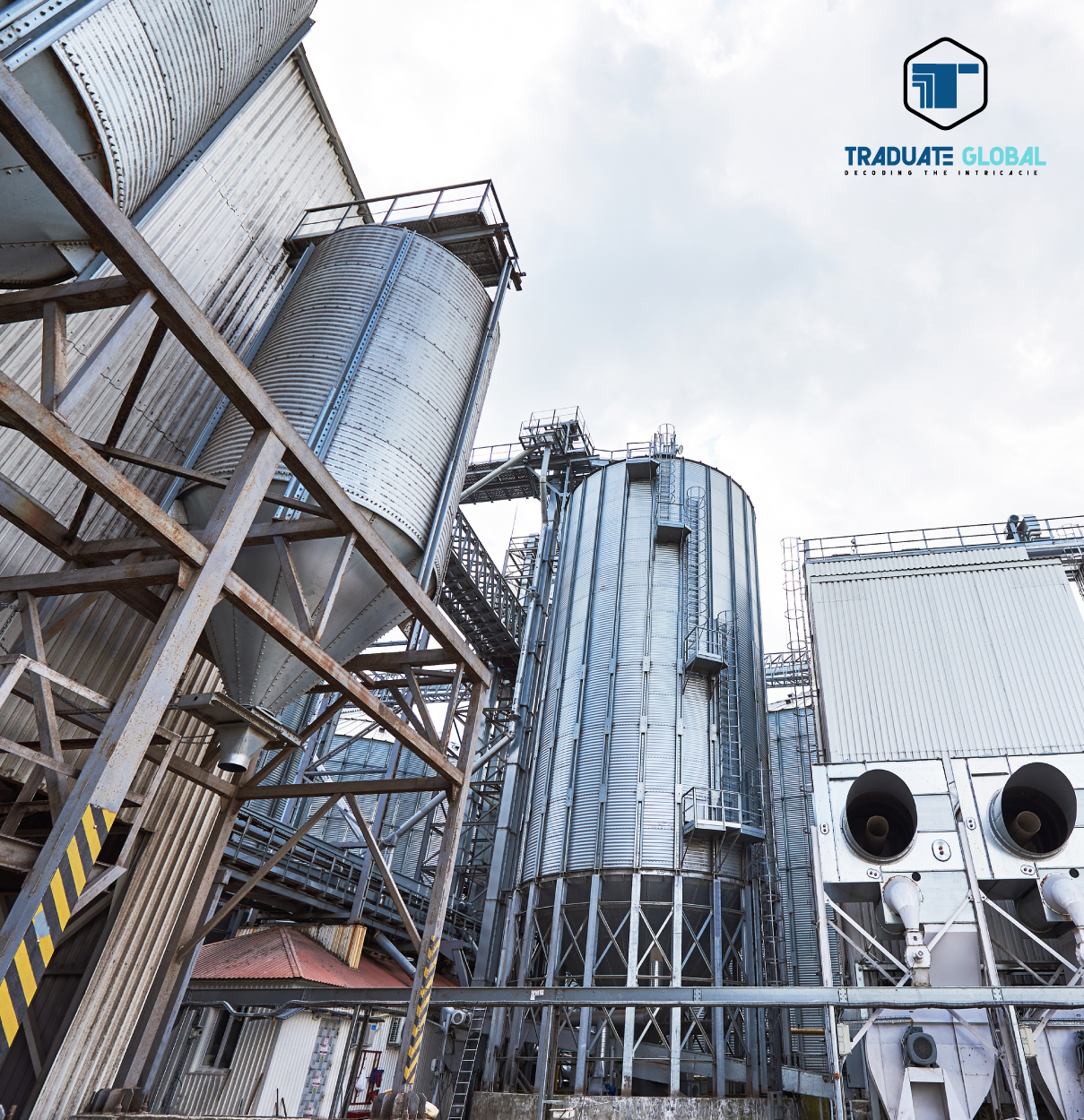 Asset Management Work Processes